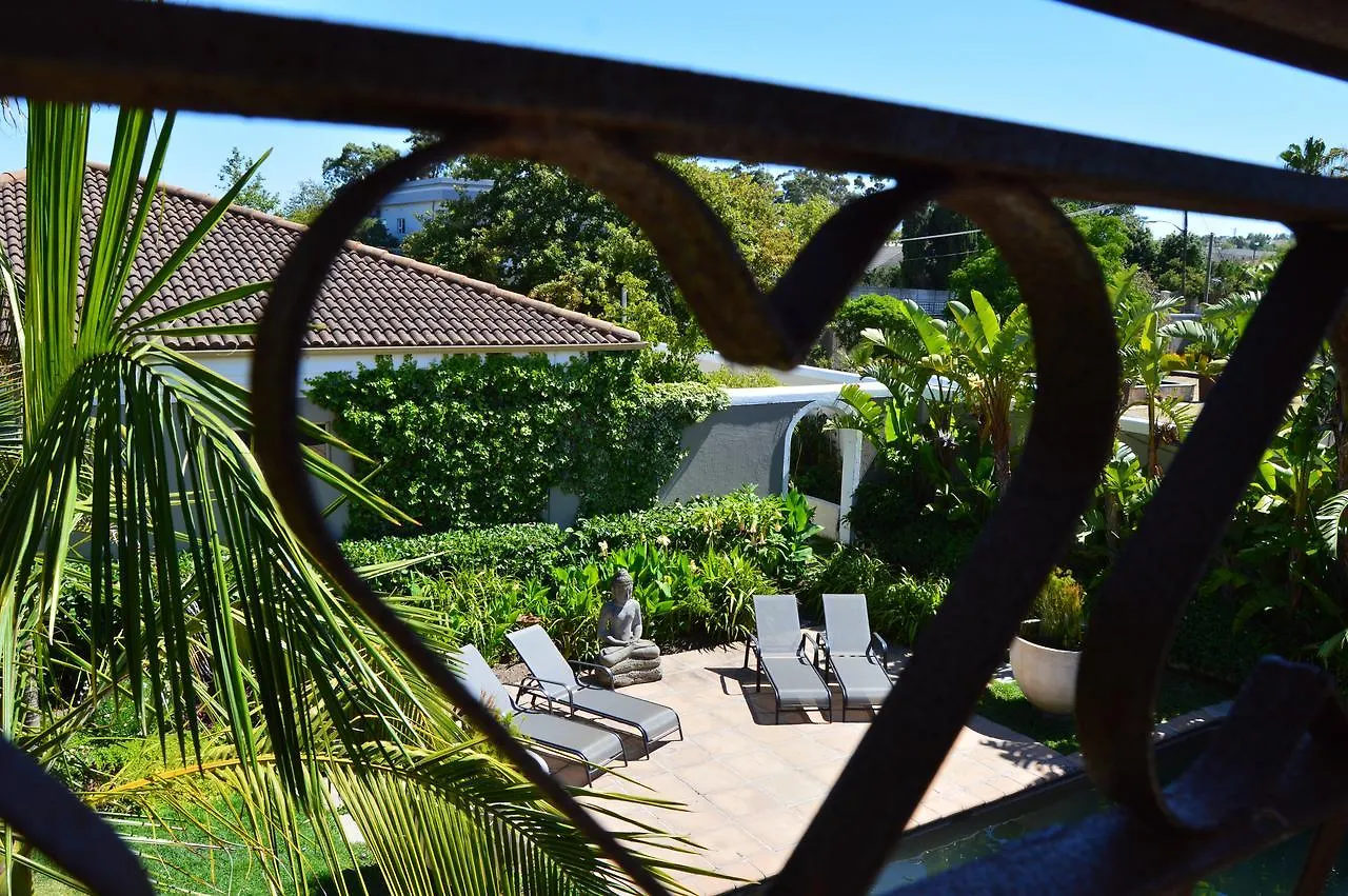 African Palm Cottage And Guesthouse Durbanville Νότια Αφρική