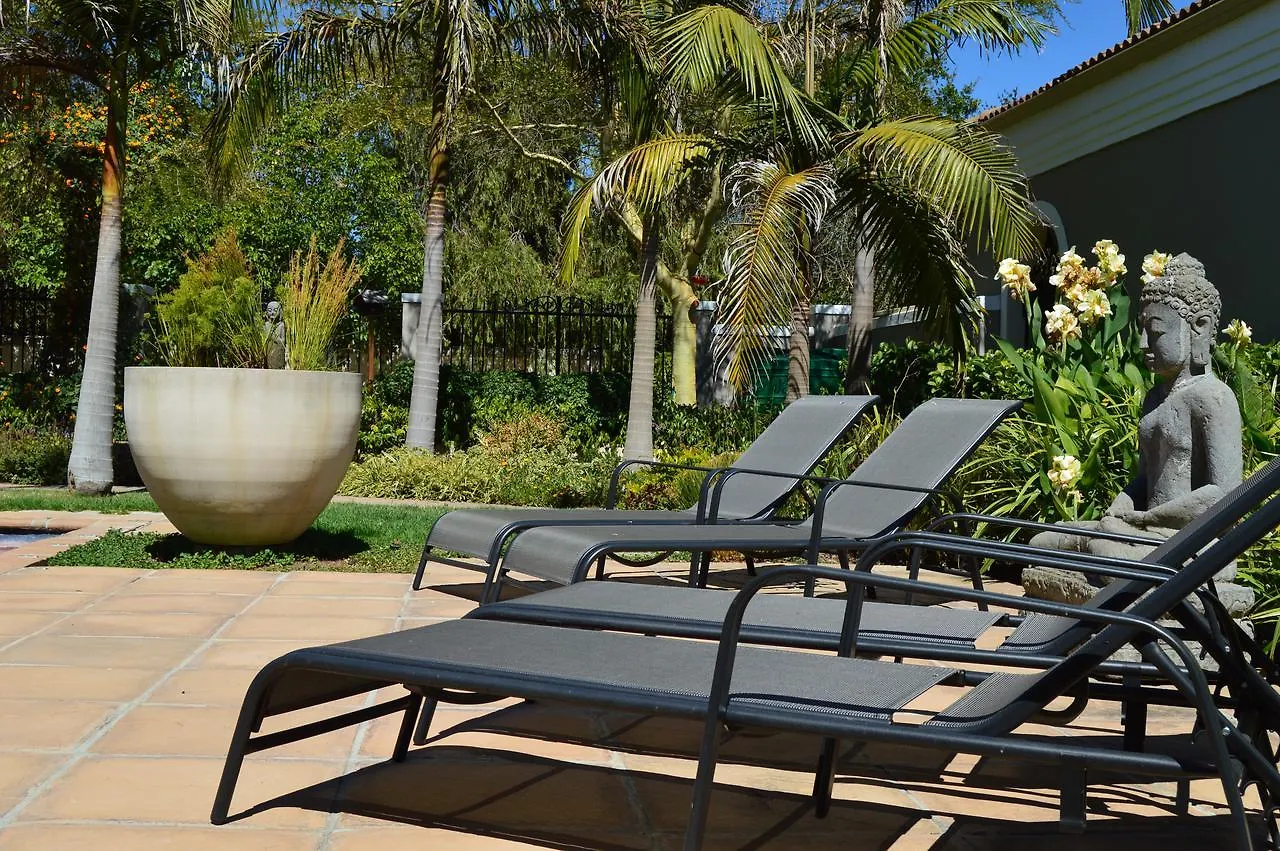 Σπίτι διακοπών African Palm Cottage And Guesthouse Durbanville